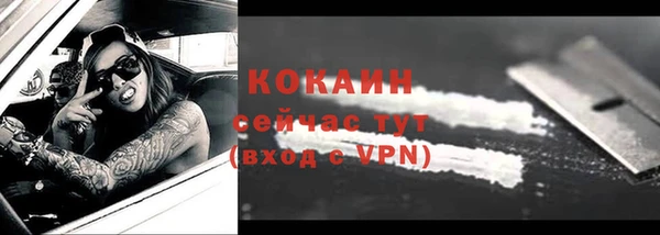 ешки Аркадак