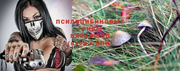 не бодяженный Арсеньев