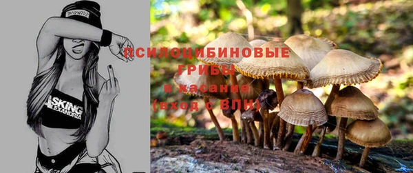 не бодяженный Арсеньев