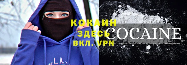 ешки Аркадак
