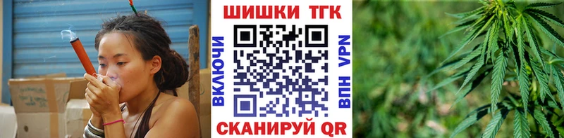 где найти   Магас  Каннабис планчик 